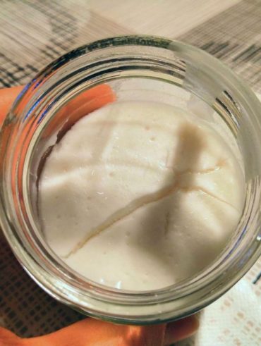 Iogurt de coco i civada