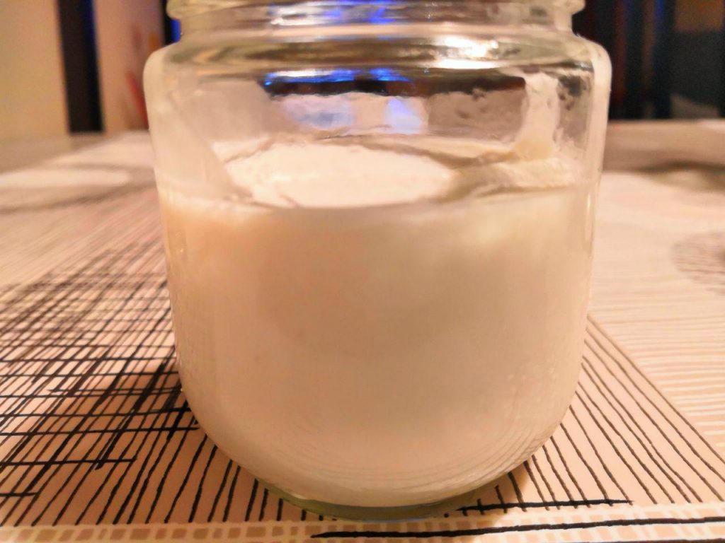 Iogurt de coco i civada